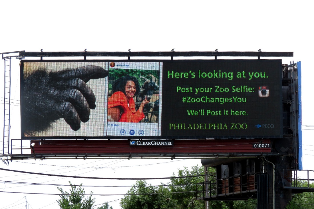 Philadelphia Zoo #ZooChangesYou.jpg