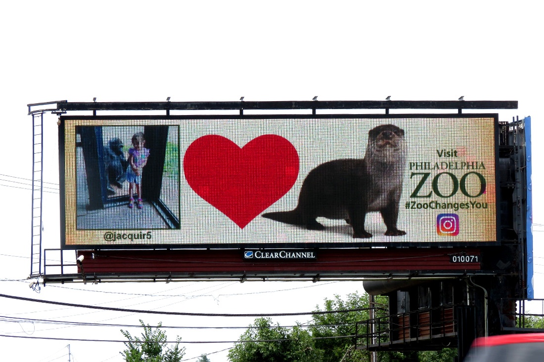 Philadelphia Zoo 2 #ZooChangesYou.jpg